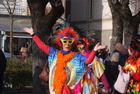 Foto Carnevale a Bardi 2024 Carnevale_Bardi_2024_021