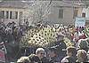 Foto Carnevale in piazza 2003 014