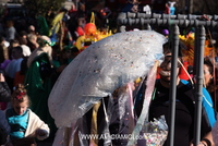 Foto Carnevale in piazza 2024 Carnevale_Bedonia_2024_221