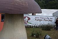 Foto Fiera del Fungo di Albareto 2009/ Fungo_Albareto_09_083