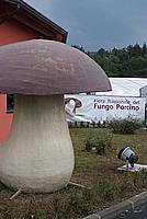 Foto Fiera del Fungo di Albareto 2009/ Fungo_Albareto_09_084