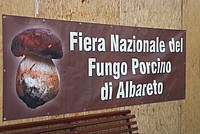 Foto Fiera del Fungo di Albareto 2012/ Fungo_Albareto_2012_025