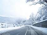 Foto Nevicata 2005 Neve di Natale 2005 013