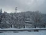 Foto Nevicata 2005 Neve di Natale 2005 028