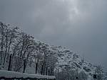Foto Nevicata 2005 Neve di Natale 2005 042