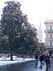 Parma sotto la neve 2005 51