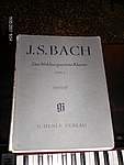 Foto Sulle Note di Bach 2007 Sulle Note del Preludio 031