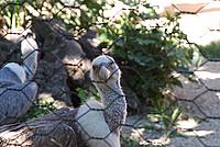 Foto Vacanza Roma - Zoo Roma_581