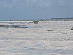Foto Zanzibar Zanzibar 2005 261