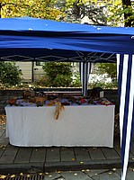 Foto Autunnando di Valle in Valle 2013/ Autunnando_2013_006