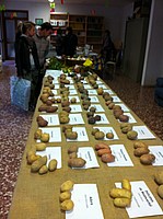 Foto Autunnando di Valle in Valle 2013/ Autunnando_2013_024