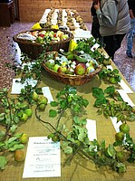 Foto Autunnando di Valle in Valle 2013/ Autunnando_2013_025