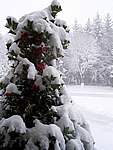 Foto Bedonia 2004 Bedonia sotto la neve 2005 003