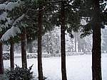 Foto Bedonia 2004 Bedonia sotto la neve 2005 006