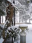 Foto Bedonia 2004 Bedonia sotto la neve 2005 007