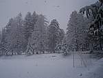 Foto Bedonia 2004 Bedonia sotto la neve 2005 014