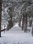 Foto Bedonia 2004 Bedonia sotto la neve 2005 016