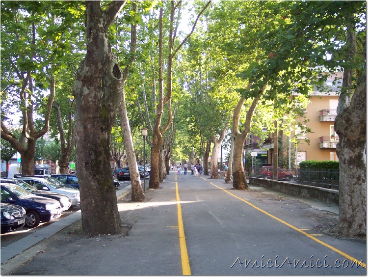 Borgo val di Taro 010 - via del mercato 239 KB