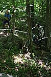 Foto Campionato Regionale Trial 2008 - Tarsogno/ Gara_Trial_2008_012
