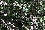 Foto Campionato Regionale Trial 2008 - Tarsogno/ Gara_Trial_2008_060