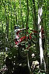Foto Campionato Regionale Trial 2008 - Tarsogno/ Gara_Trial_2008_073