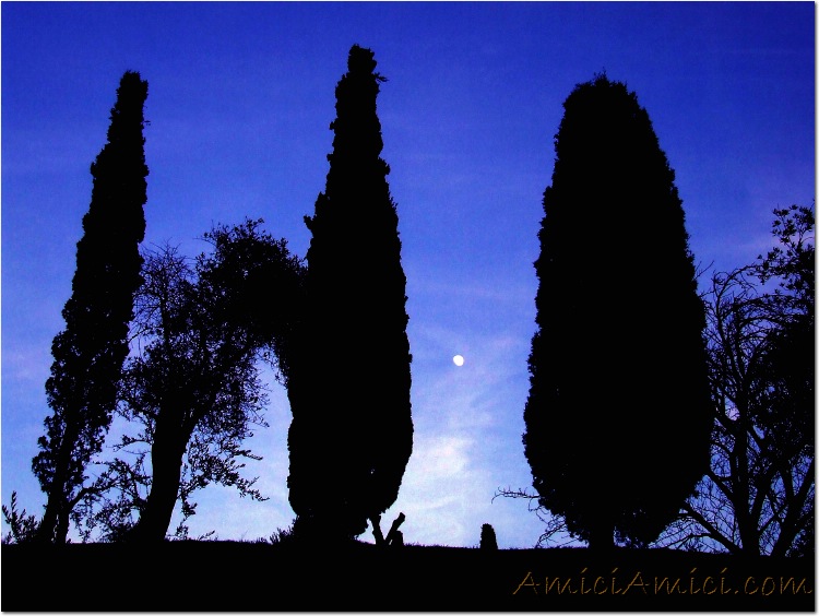 Capodanno 06-07 113 Stregato dalla luna 115 KB