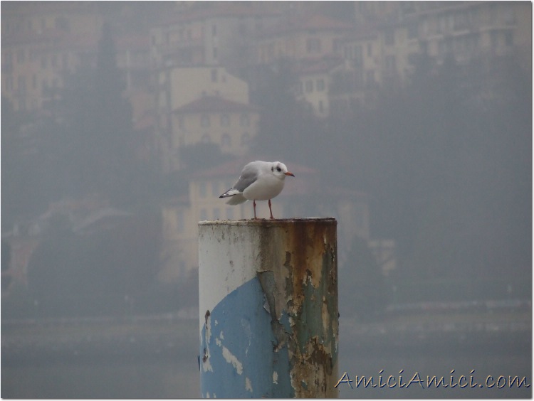 Capodanno 06-07 226 65,1 KB