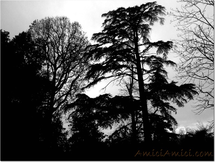 Capodanno 06-07 276 180 KB