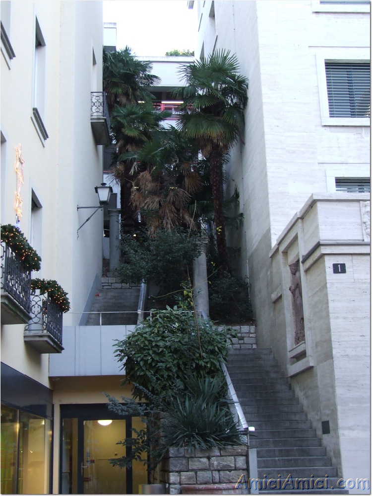 Capodanno 06-07 384 224 KB