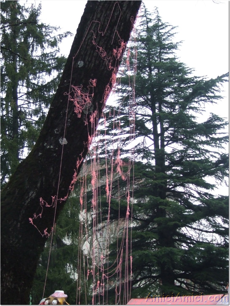 Carnevale Borgotarese 2007 246 319 KB