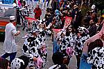 Foto Carnevale Borgotarese 2009/ Carnevale_a_Borgotaro_2009_140