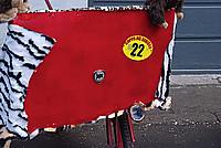 Foto Carnevale Borgotarese 2010 - Coppa del Sabione/ Coppa_Sabione_2010_034