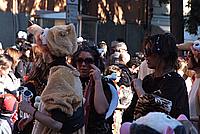 Foto Carnevale Borgotarese 2011/ Carnevale_2011_Borgotaro_079