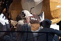 Foto Carnevale Borgotarese 2011/ Carnevale_2011_Borgotaro_088