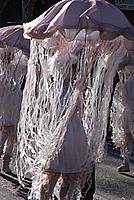 Foto Carnevale Borgotarese 2011/ Carnevale_2011_Borgotaro_317