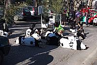 Foto Carnevale Borgotarese 2011/ Carnevale_2011_Borgotaro_322