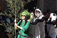 Foto Carnevale Borgotarese 2011/ Carnevale_2011_Borgotaro_460