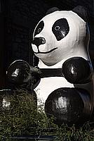 Foto Carnevale Borgotarese 2011/ Carnevale_2011_Borgotaro_465