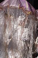 Foto Carnevale Borgotarese 2011/ Carnevale_2011_Borgotaro_528