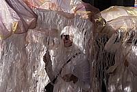 Foto Carnevale Borgotarese 2011/ Carnevale_2011_Borgotaro_529