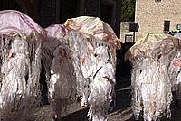 Foto Carnevale Borgotarese 2011/ Carnevale_2011_Borgotaro_530