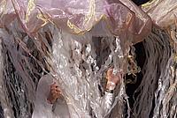 Foto Carnevale Borgotarese 2011/ Carnevale_2011_Borgotaro_536