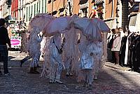 Foto Carnevale Borgotarese 2011/ Carnevale_2011_Borgotaro_672