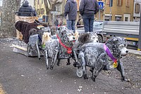 Foto Carnevale Borgotarese 2012 - Coppa del Sabione Coppa_Sabione_2012_036