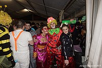 Foto Carnevale Borgotarese 2013 - Sabato Grasso/ Carnevale_Sabato_2013_194