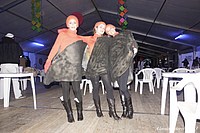 Foto Carnevale Borgotarese 2013 - Venerdi Grasso/ Carnevale_Venerdi_2013_138