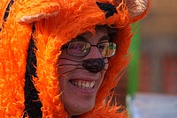 Foto Carnevale Borgotarese 2013/ Carnevale_Borgotaro_2013_011