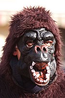 Foto Carnevale Borgotarese 2013/ Carnevale_Borgotaro_2013_049