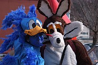 Foto Carnevale Borgotarese 2013/ Carnevale_Borgotaro_2013_074