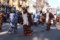 Foto Carnevale Borgotarese 2013/ Carnevale_Borgotaro_2013_159